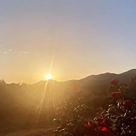 Apartment Tres Joli 55m2 Climatise Region Propriano *