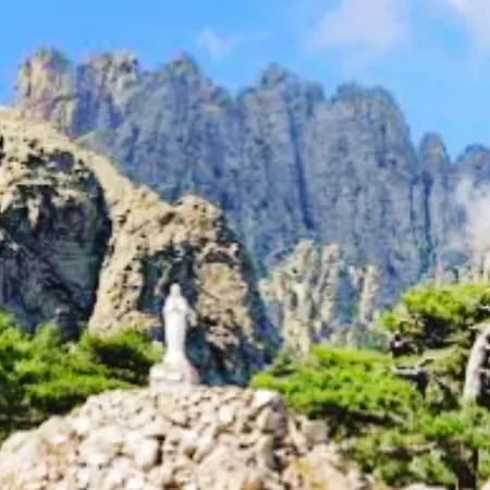 Apartment Tres Joli 55m2 Climatise Region Propriano Compoli