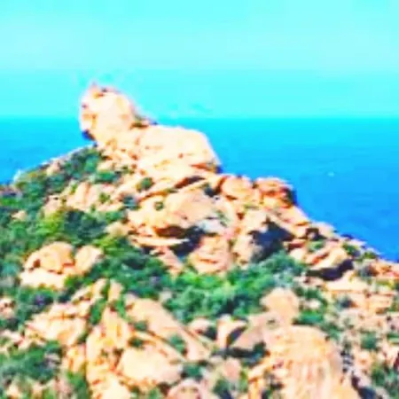 Tres Joli 55m2 Climatise Region Propriano Compoli