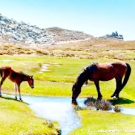 Très Joli 55m2 Climatisé Région Propriano * Compoli