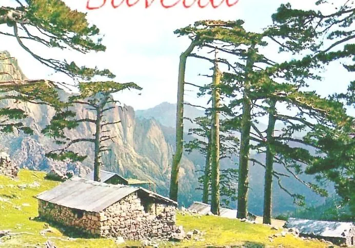 Tres Joli T3, 55m2 Climatise Region Propriano 5 Personnes 公寓 Compoli