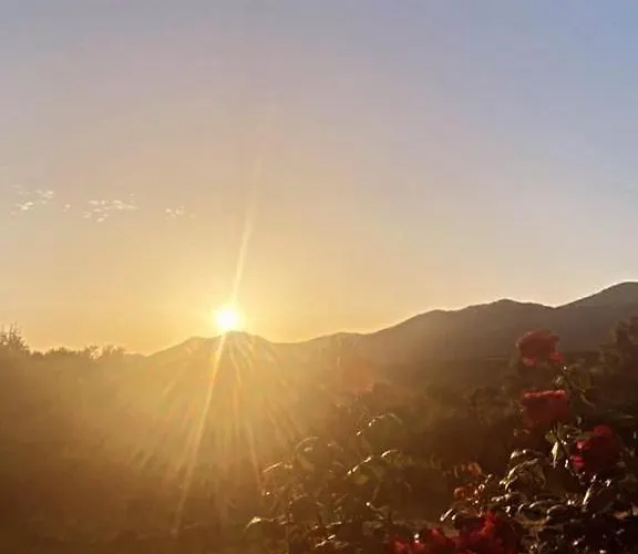 公寓 Tres Joli T3, 55m2 Climatise Region Propriano 5 Personnes *