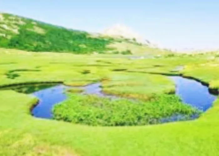 Tres Joli T3, 55m2 Climatise Region Propriano 5 Personnes * Compoli