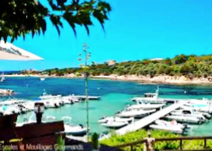 公寓 Tres Joli T3, 55m2 Climatise Region Propriano 5 Personnes