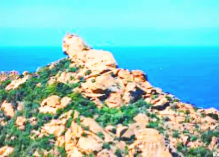 Tres Joli T3, 55m2 Climatise Region Propriano 5 Personnes Compoli