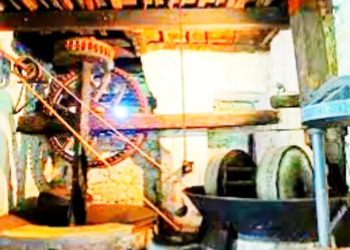 Tres Joli T3, 55m2 Climatise Region Propriano 5 Personnes