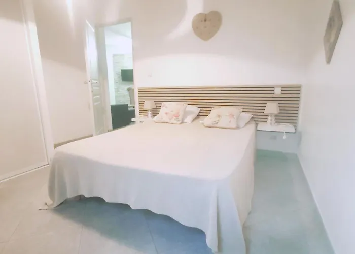 Tres Joli T3, 55m2 Climatise Region Propriano 5 Personnes 公寓 *