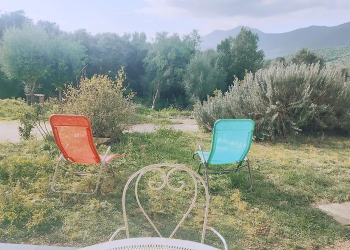 Tres Joli T3, 55m2 Climatise Region Propriano 5 Personnes 公寓 *